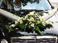 Autdsz-rzsa,lisianthus,liliom
